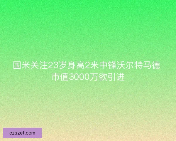 国米关注23岁身高2米中锋沃尔特马德 市值3000万欲引进